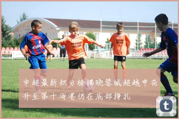 中超最新积分榜揭晓蓉城超越申花升至第十海港仍在底部挣扎