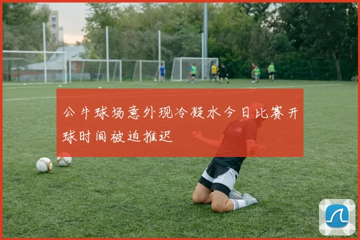 公牛球场意外现冷凝水今日比赛开球时间被迫推迟