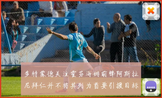 多特蒙德关注霍芬海姆前锋阿斯拉尼拜仁并不将其列为首要引援目标