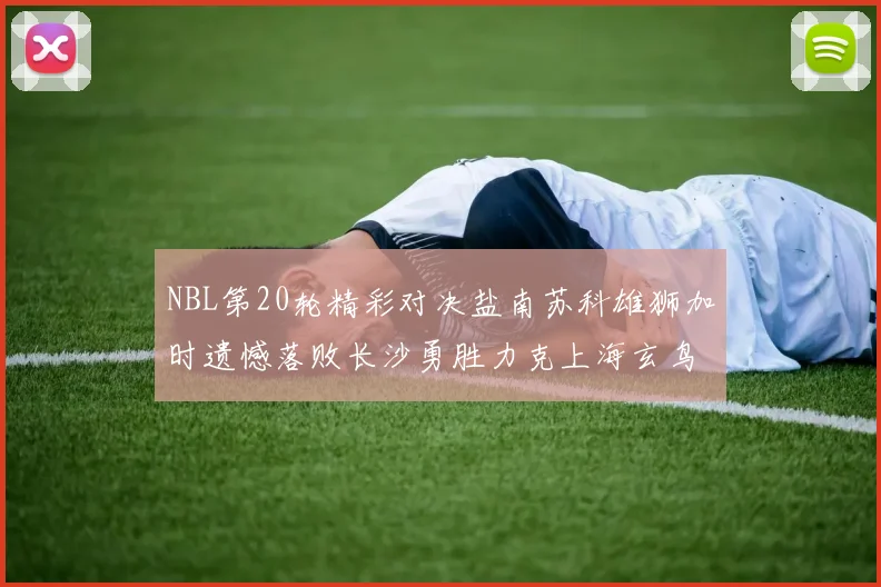 NBL第20轮精彩对决盐南苏科雄狮加时遗憾落败长沙勇胜力克上海玄鸟