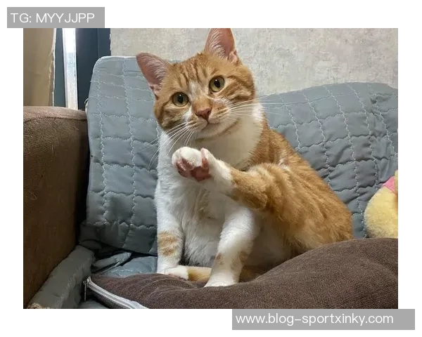 法比奥社媒分享甜蜜瞬间你最喜欢的照片是哪一张呢 法比奥社媒分享甜蜜瞬间你最喜欢的照片是哪一张呢